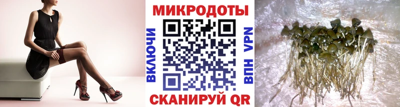 Псилоцибиновые грибы ЛСД  где купить наркоту  Котово 